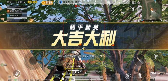 和平精英游戏辅助哪个好（和平精英游戏助手哪个比较好）